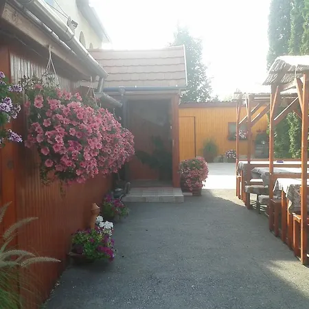 Kisdiofa Panzio Es Vendeglo Bed & Breakfast Vajdácska